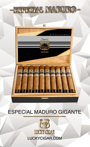 Maduro Cigars: Especial Maduro Gigante 7x70 Box of 20