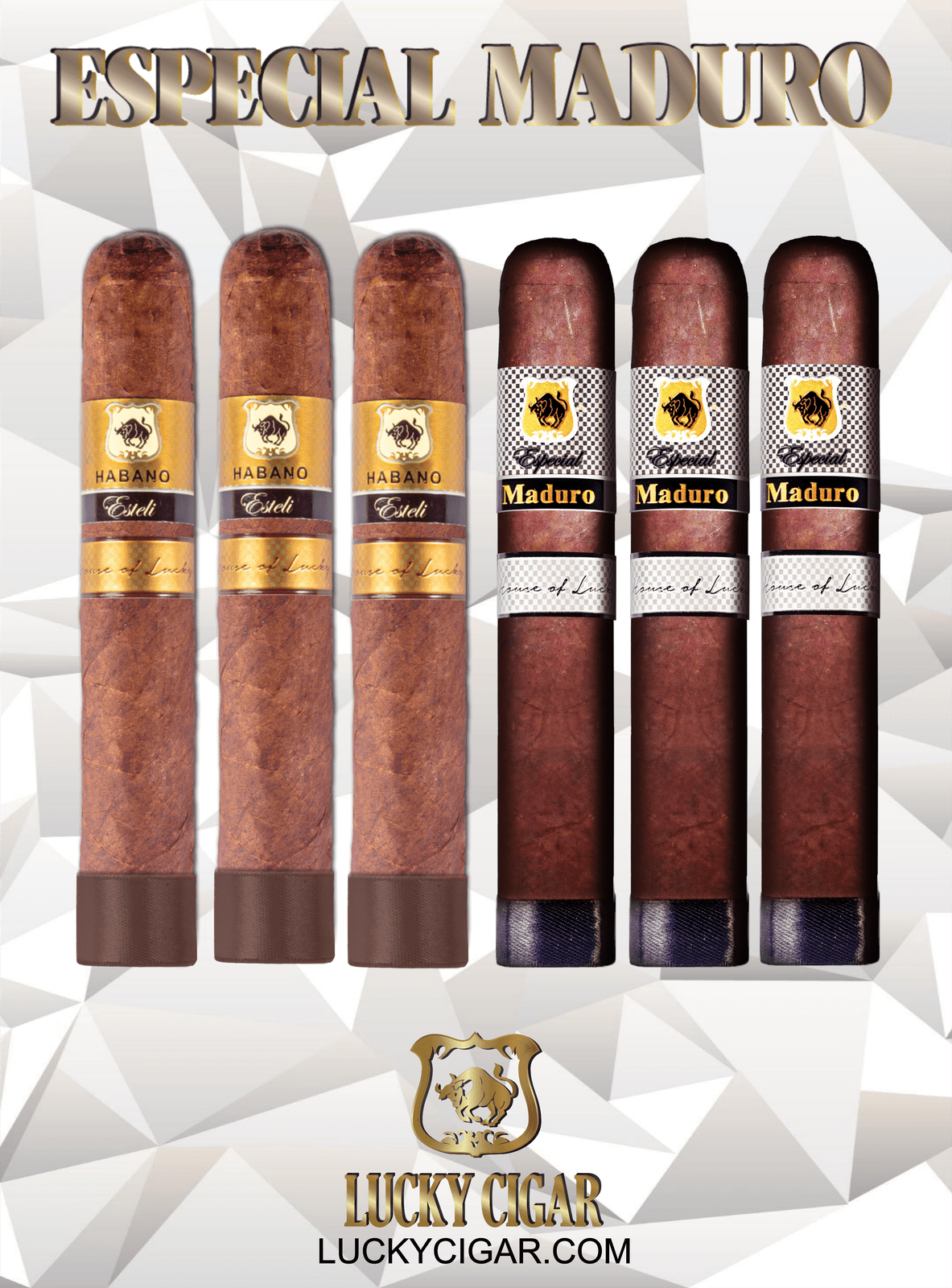 Maduro Cigars: Especial Maduro by Lucky Cigar: Set of 6, 3 Habano Toro, 3 Maduro Toro Cigars