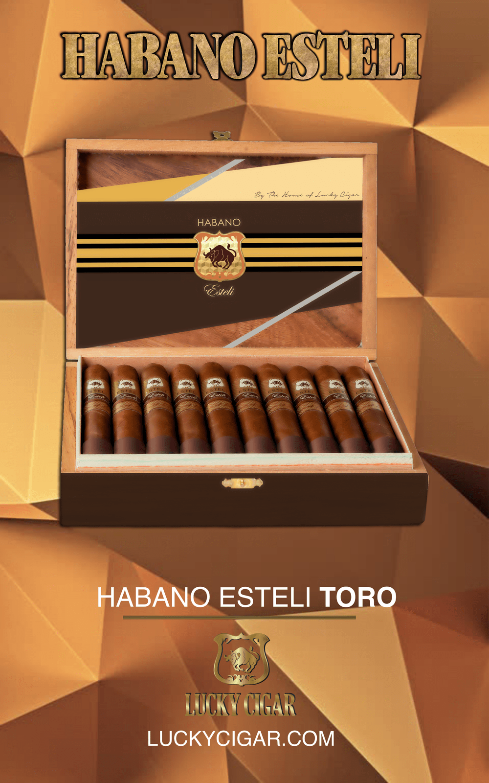 Habano Esteli TORO 6x50 Box of 20 pieces