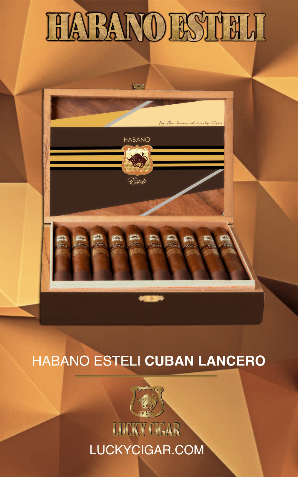 Habano Cigars: Habano Esteli CUBAN LANCERO 7 1/4X38 BOX OF 20