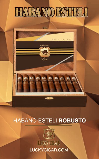 Habano Cigars: Habano Esteli by Lucky Cigar: Robusto 5x50 Box of 20