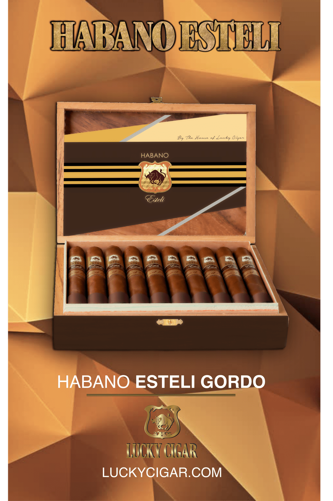 Habano Cigars: Habano Esteli by Lucky Cigar: Gordo 6x60 Box of 20