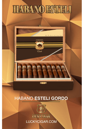 Habano Cigars