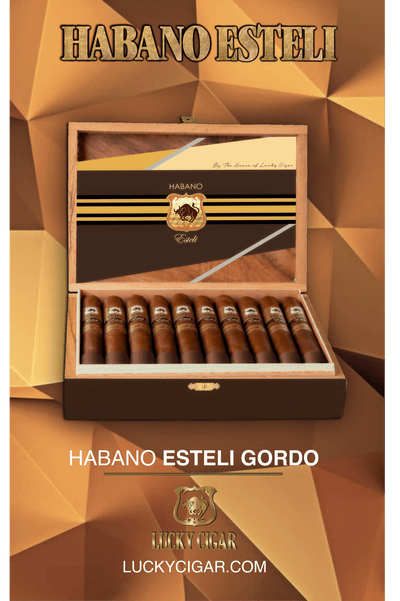 Habano Cigars: Habano Esteli by Lucky Cigar: Gordo 6x60 Box of 20