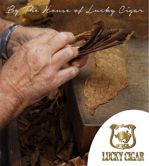 Habano Cigars: Habano Esteli Toro 6x50 Single Cigar