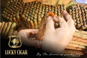 Habano Cigars: Habano Esteli Robusto 5x50 Single Cigar
