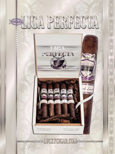 Rum Cigars: Liga Perfecta From The Infusions Collection by Lucky Cigar: Habano Petite Delicioso 5x50 Box of 10