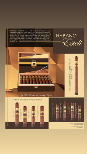 Habano Cigars: Habano Esteli Toro 6x50 Box of 20