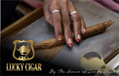 Habano Cigars: Habano Esteli by Lucky Cigar: Torpedo 6x52 Single Cigar