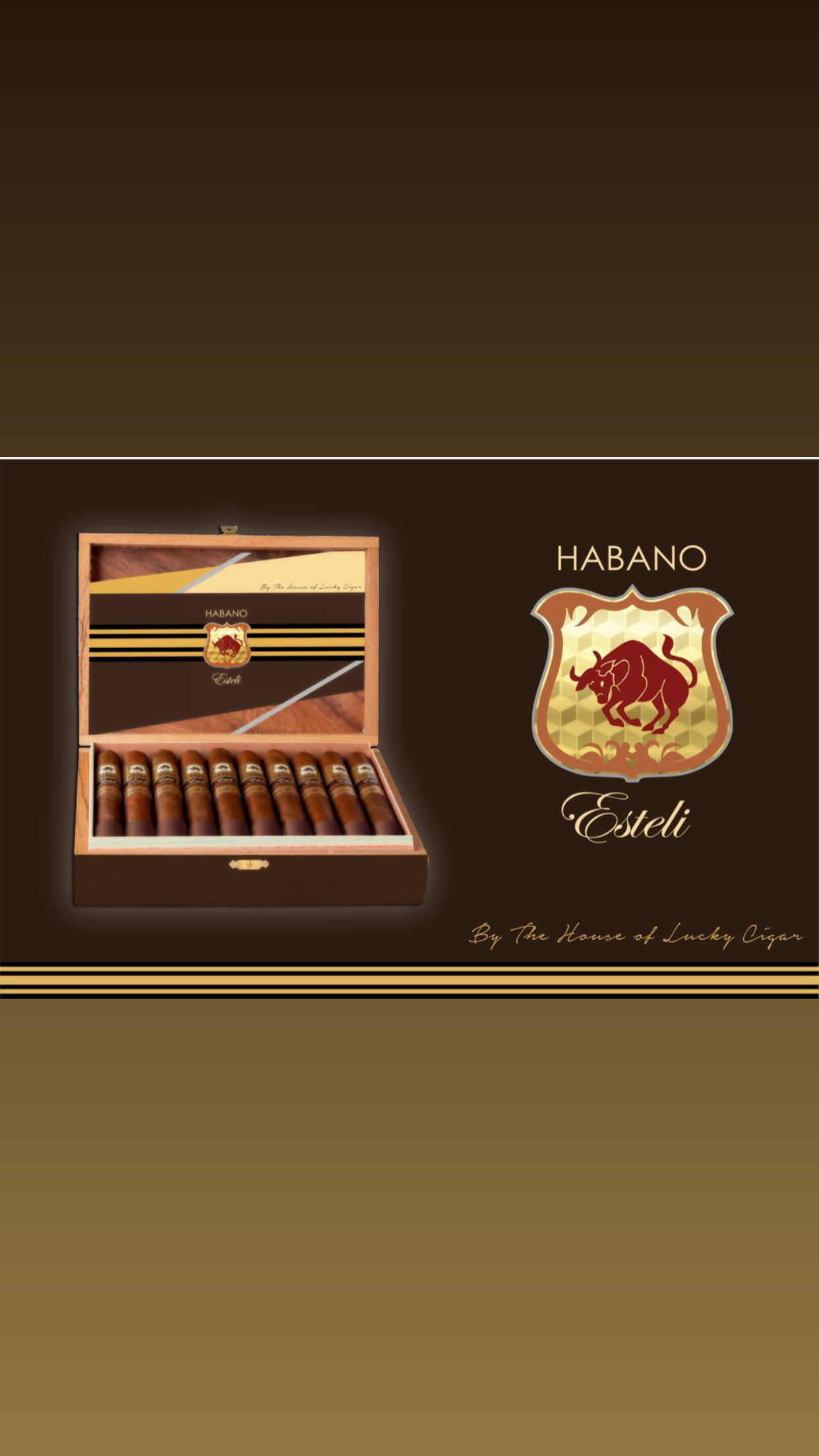 Habano Cigars: Habano Esteli by Lucky Cigar: Torpedo 6x52 Box of 20 