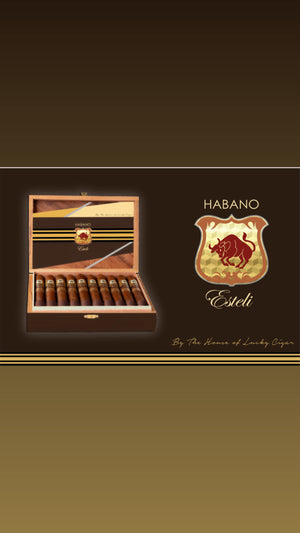 Habano Cigars: Habano Esteli TORPEDO 6X52 BOX OF 20