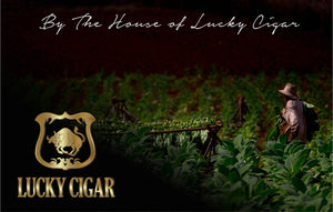 Especial Habano by The House of Lucky Cigar Size Toro 6x50