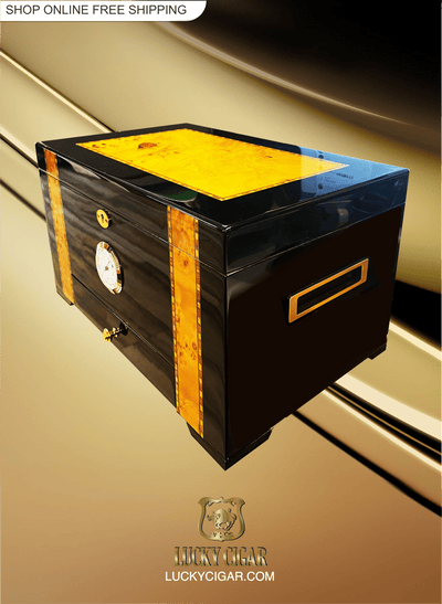 Cigar Lifestyle Accessories: Humidor For 150 cigars in Black/Gold